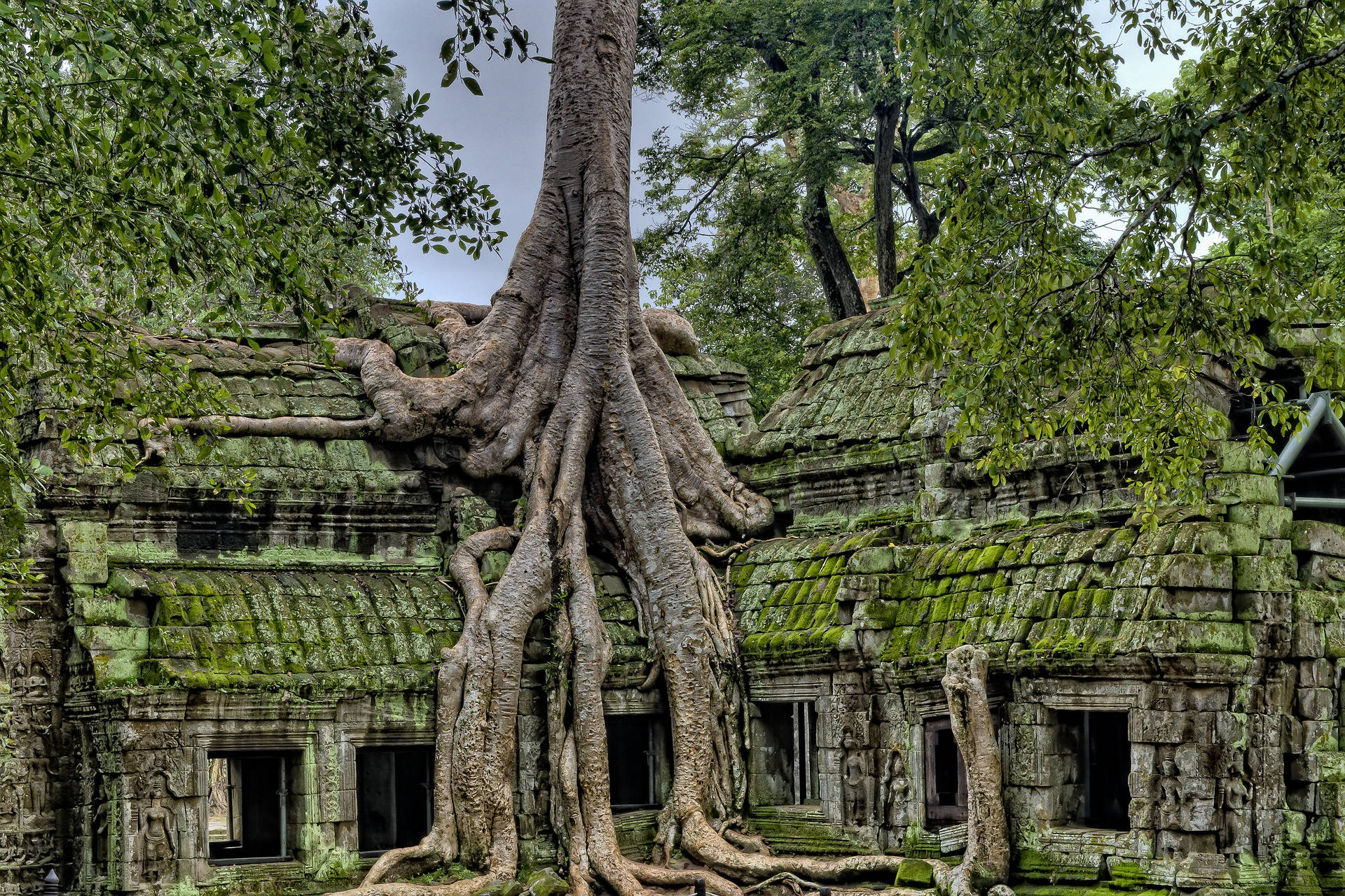 Ta Phrom, Angkor